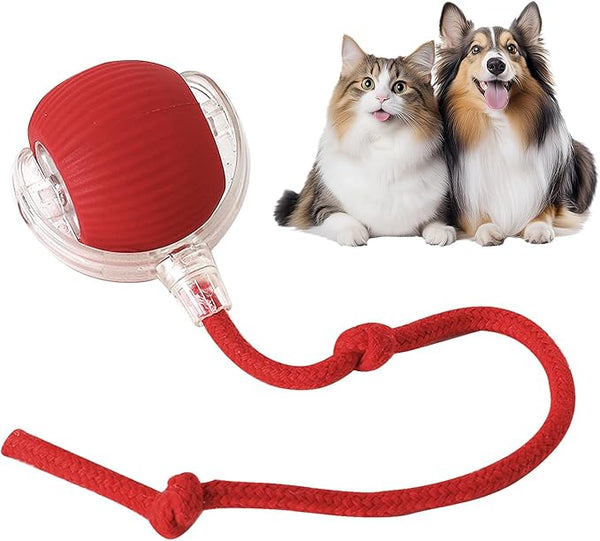 Yopoll ™ | balle jouet interactive pour animaux de compagnie