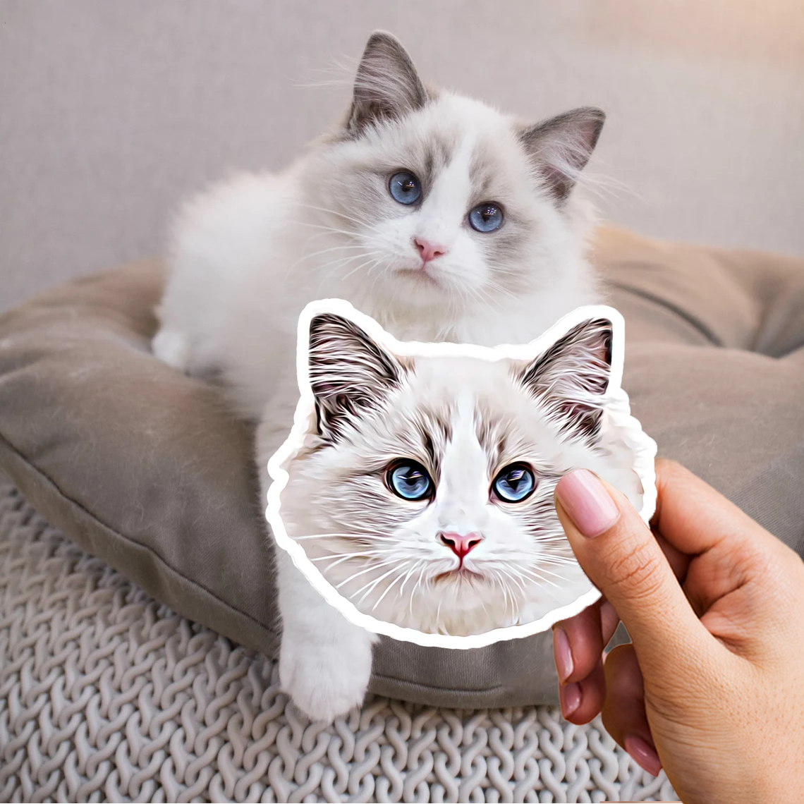 3x personalizovaná nálepka pre vášho domáceho miláčika